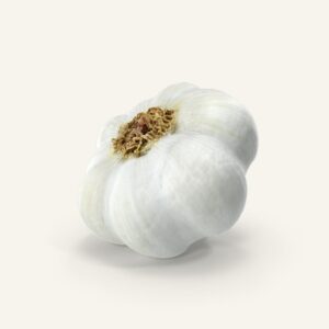 Onion