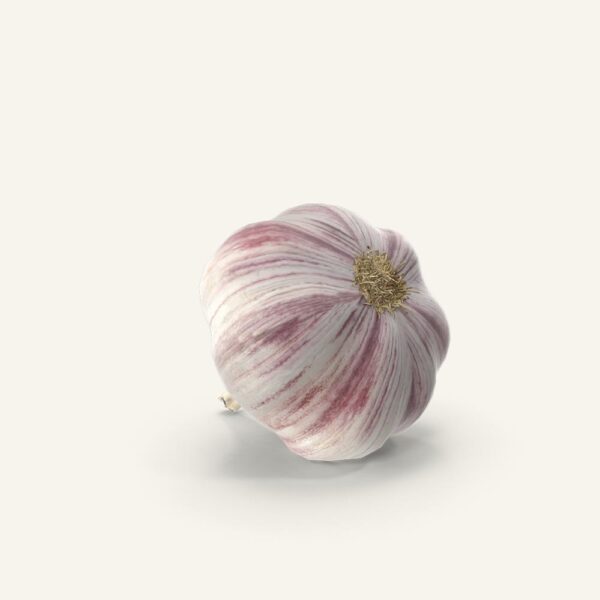 Red Onion
