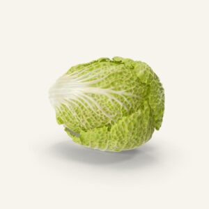 Cabbage