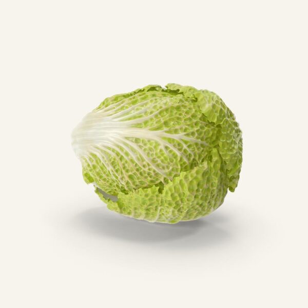 Cabbage