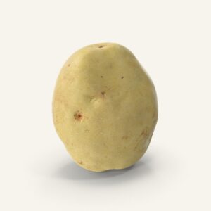 Potato