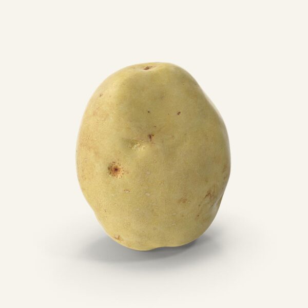 Potato