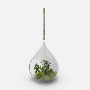 Hanging terrarium